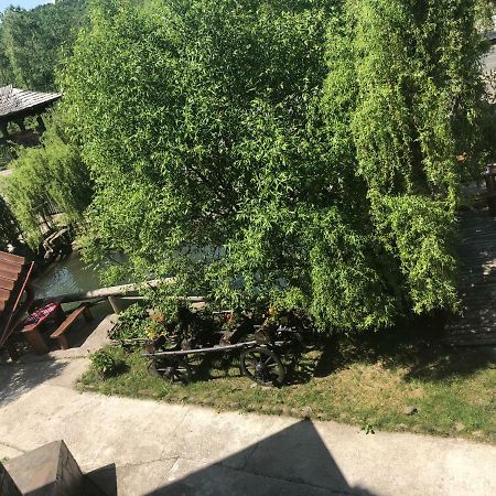 Pensiune Pastravarie La Pintea Haiducu Deseşti Exterior foto