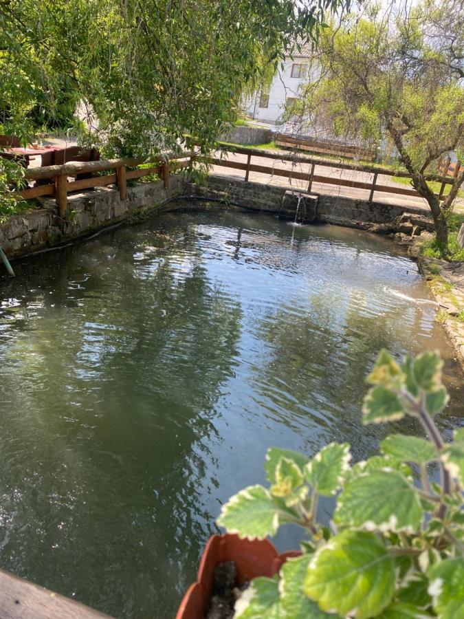 Hotel Pensiune Pastravarie La Pintea Haiducu Deseşti Exterior foto