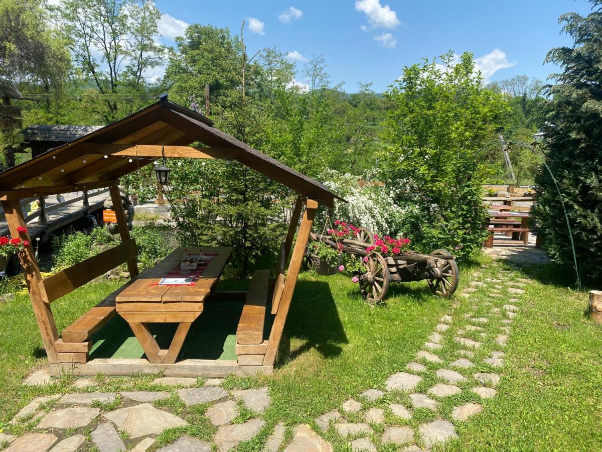 Hotel Pensiune Pastravarie La Pintea Haiducu Deseşti Exterior foto