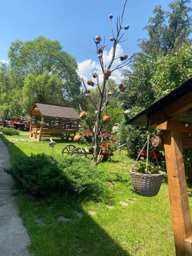 Hotel Pensiune Pastravarie La Pintea Haiducu Deseşti Exterior foto