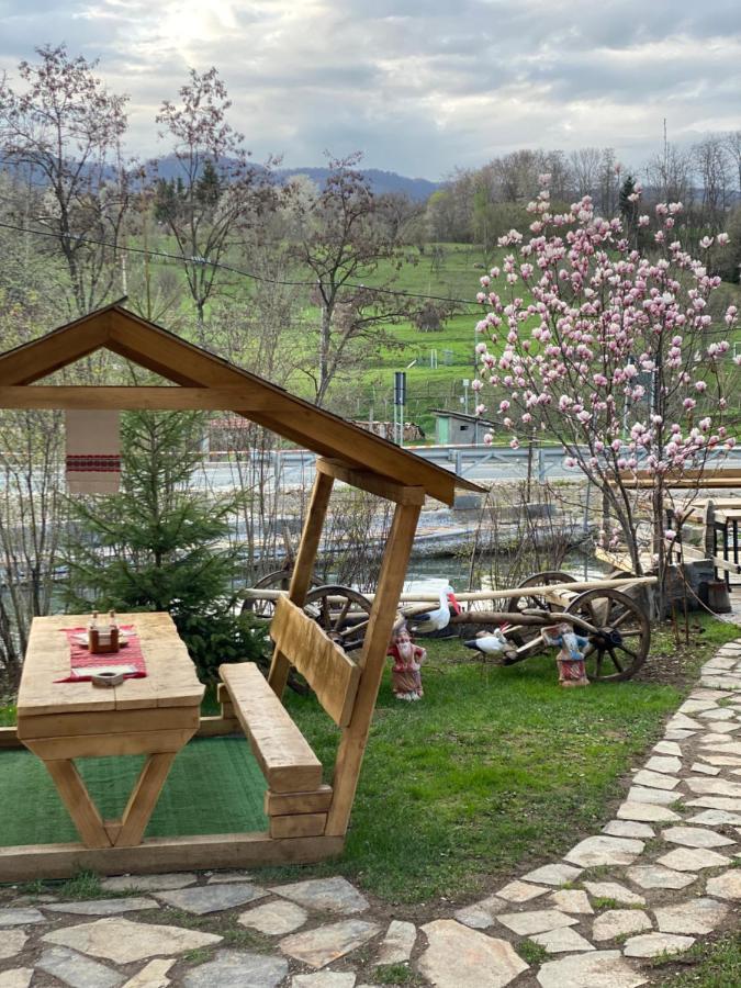 Hotel Pensiune Pastravarie La Pintea Haiducu Deseşti Exterior foto