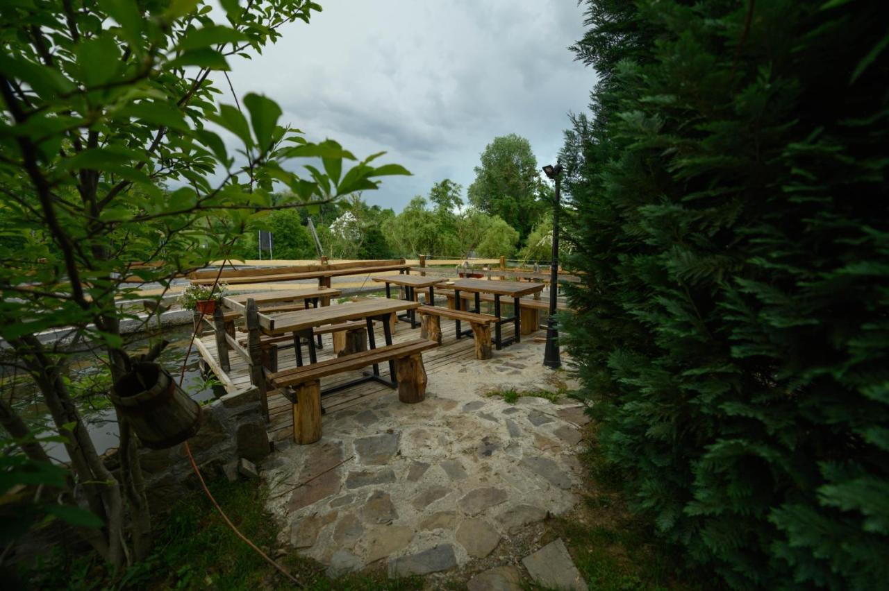 Hotel Pensiune Pastravarie La Pintea Haiducu Deseşti Exterior foto