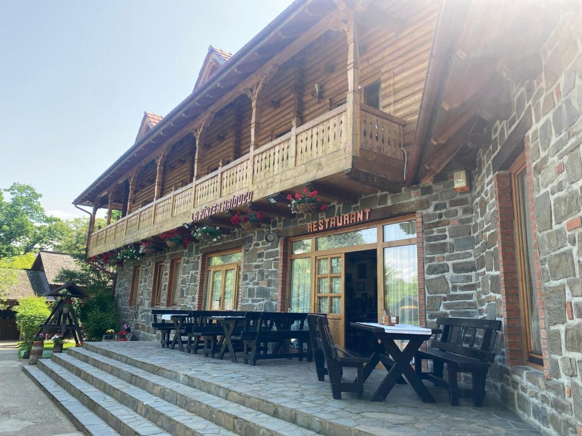 Hotel Pensiune Pastravarie La Pintea Haiducu Deseşti Exterior foto