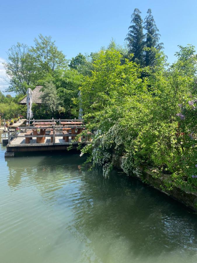 Hotel Pensiune Pastravarie La Pintea Haiducu Deseşti Exterior foto