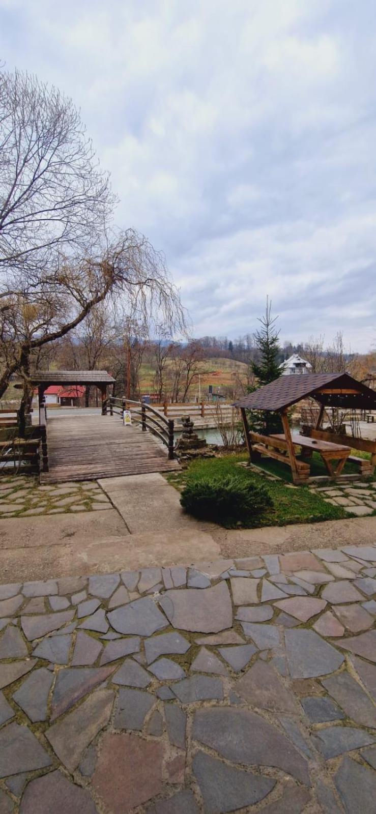 Pensiune Pastravarie La Pintea Haiducu Deseşti Exterior foto