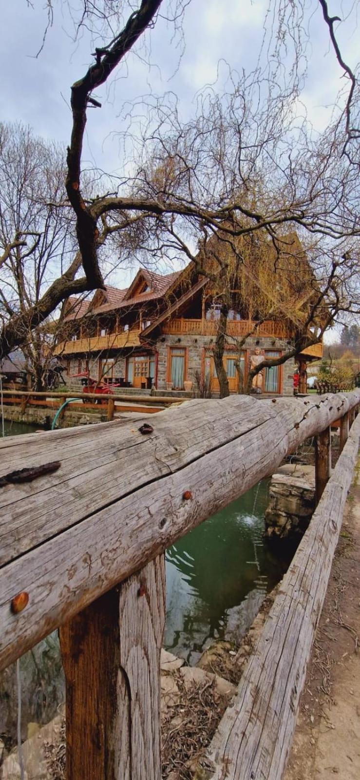 Pensiune Pastravarie La Pintea Haiducu Deseşti Exterior foto