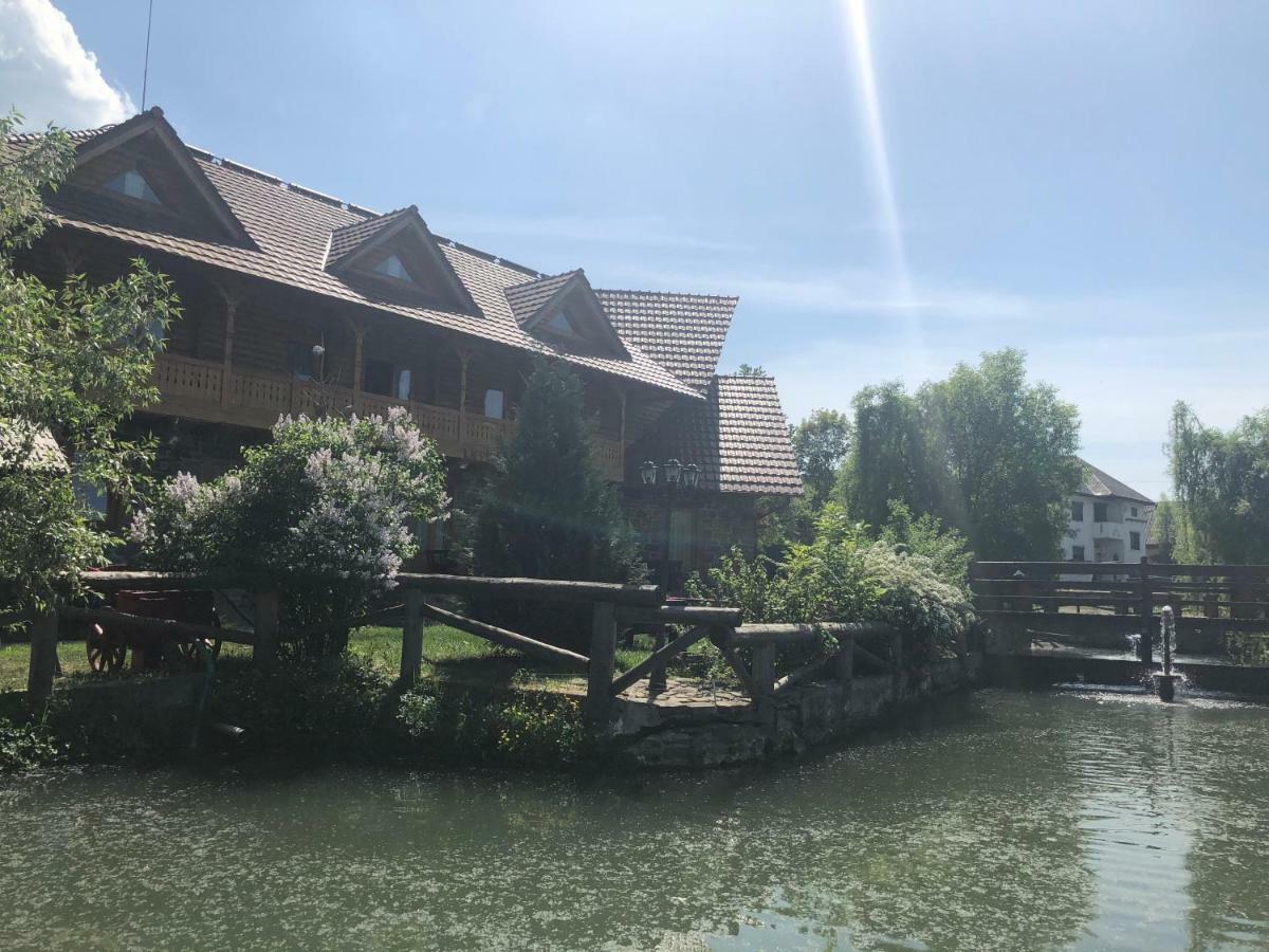 Hotel Pensiune Pastravarie La Pintea Haiducu Deseşti Exterior foto