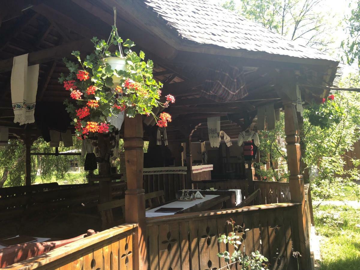 Pensiune Pastravarie La Pintea Haiducu Deseşti Exterior foto